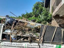 Best Residential Junk Removal  in Stevensville, MD
